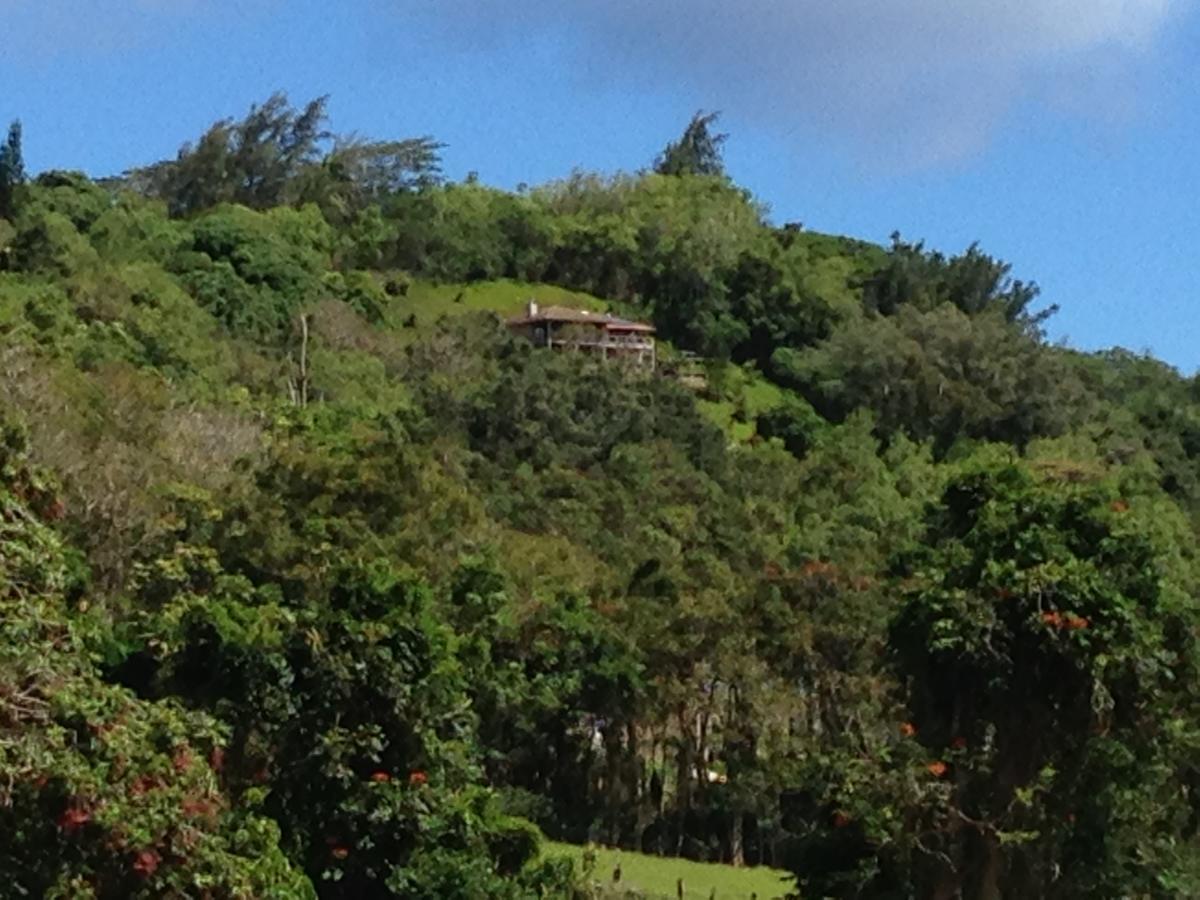 Marjorie's Kauai Inn Lawai Bagian luar foto